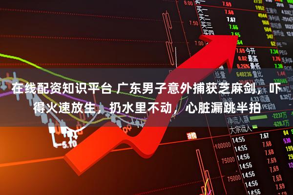 在线配资知识平台 广东男子意外捕获芝麻剑，吓得火速放生，扔水里不动，心脏漏跳半拍