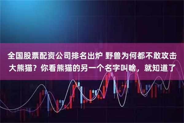 全国股票配资公司排名出炉 野兽为何都不敢攻击大熊猫？你看熊猫的另一个名字叫啥，就知道了