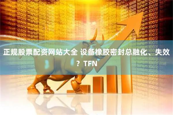 正规股票配资网站大全 设备橡胶密封总融化、失效？TFN