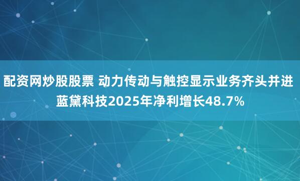 配资网炒股股票 动力传动与触控显示业务齐头并进 蓝黛科技2025年净利增长48.7%